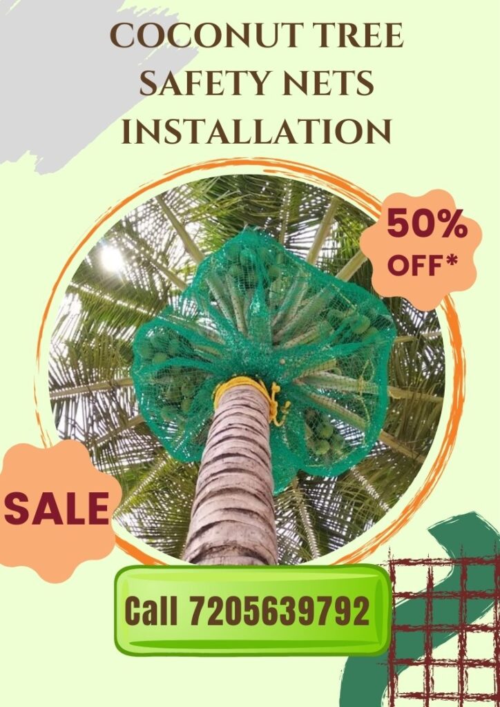 Coconut Tree Safety Nets