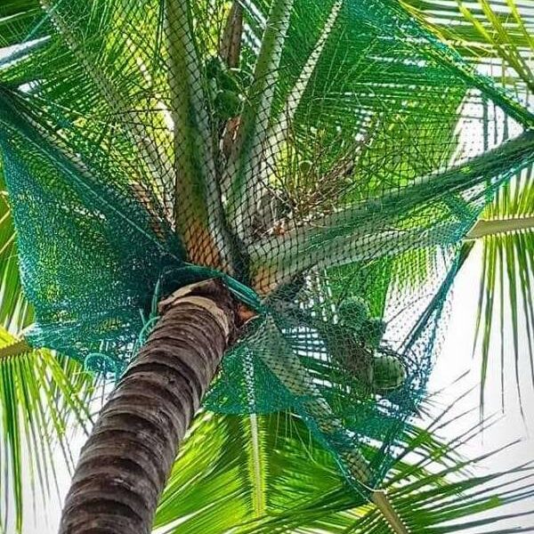 Car Parking Lot Coconut Tree Safety Nets in Bangalore