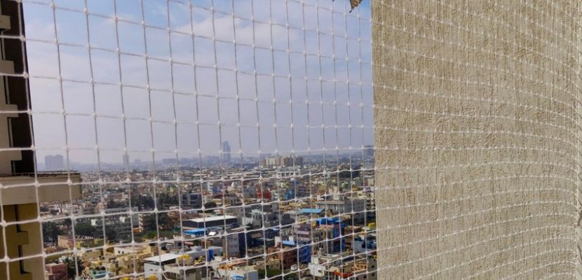 Pigeon Nets, Pigeon Nets installation, Pigeon Nets Near Me, Pigeon Netting Service in Bangalore