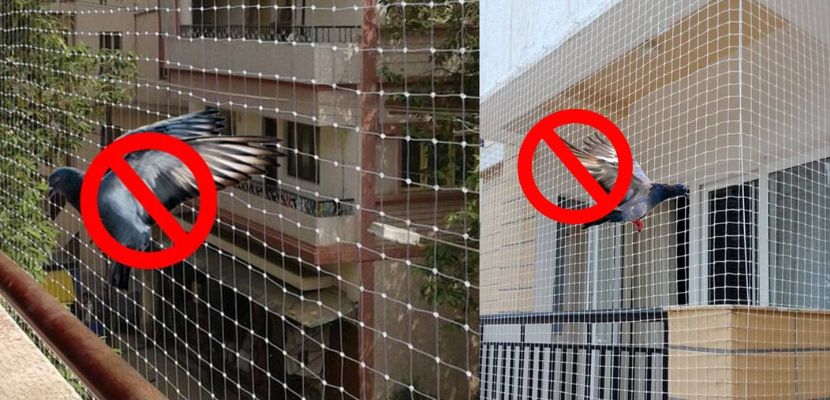 Pigeon Nets, Pigeon Nets installation, Pigeon Nets Near Me, Pigeon Netting Service in Bangalore